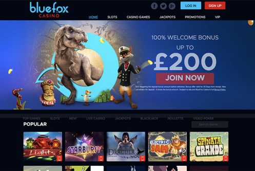 www.bluefoxcasino.com